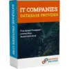 It Companies Database